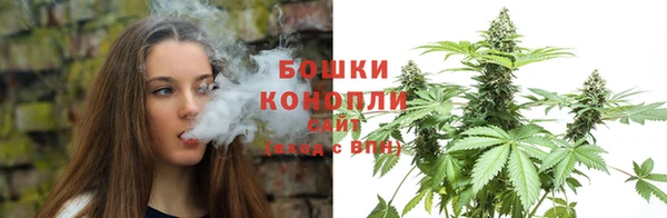 PSILOCYBIN Зерноград