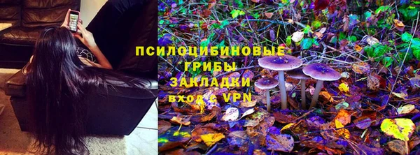 PSILOCYBIN Зеленодольск