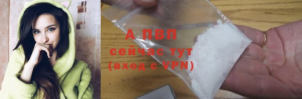 PSILOCYBIN Зеленодольск