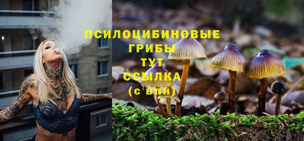 PSILOCYBIN Зеленодольск