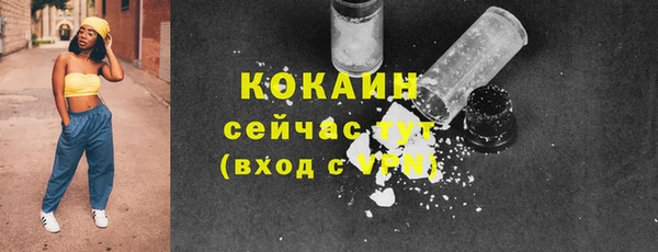 PSILOCYBIN Зеленодольск