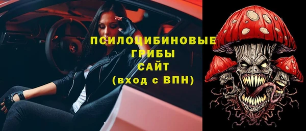 PSILOCYBIN Зерноград