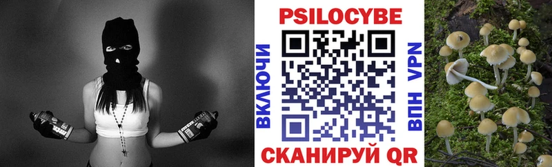 Купить закладки  Дубовка  Галлюциногенные грибы Psilocybine cubensis 